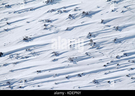 Schnee Textur von Wind Stockfoto