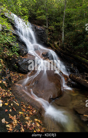 Hollow log Falls ist ein wunderschön Cascading 25 m hohen Wasserfall im Pisgah National Forest in Transylvania County. zwar relativ leicht zu zu erhalten, sind sie nicht häufig besuchten im Vergleich zu anderen Wasserfällen im Bereich. Sie sind ca. 1/2 Meile, FS5043, ist eine alte Protokollierung Straße. die Wanderung in ist sehr einfach, und Sie in der Regel reichlich Wildblumen sehen, es sei denn, Sie besuchen in den kälteren Monaten. Die Fälle selbst haben das Grundgestein geglättet am unteren Ende der Fälle, in denen dicken Adern der Quarz sichtbar sind. wenn Sie eng in die Stream beobachten, sehen Sie Stockfoto