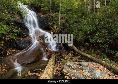 Hollow log Falls ist ein wunderschön Cascading 25 m hohen Wasserfall im Pisgah National Forest in Transylvania County. zwar relativ leicht zu zu erhalten, sind sie nicht häufig besuchten im Vergleich zu anderen Wasserfällen im Bereich. Sie sind ca. 1/2 Meile, FS5043, ist eine alte Protokollierung Straße. die Wanderung in ist sehr einfach, und Sie in der Regel reichlich Wildblumen sehen, es sei denn, Sie besuchen in den kälteren Monaten. Die Fälle selbst haben das Grundgestein geglättet am unteren Ende der Fälle, in denen dicken Adern der Quarz sichtbar sind. wenn Sie eng in die Stream beobachten, sehen Sie Stockfoto