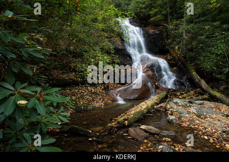 Hollow log Falls ist ein wunderschön Cascading 25 m hohen Wasserfall im Pisgah National Forest in Transylvania County. zwar relativ leicht zu zu erhalten, sind sie nicht häufig besuchten im Vergleich zu anderen Wasserfällen im Bereich. Sie sind ca. 1/2 Meile, FS5043, ist eine alte Protokollierung Straße. die Wanderung in ist sehr einfach, und Sie in der Regel reichlich Wildblumen sehen, es sei denn, Sie besuchen in den kälteren Monaten. Die Fälle selbst haben das Grundgestein geglättet am unteren Ende der Fälle, in denen dicken Adern der Quarz sichtbar sind. wenn Sie eng in die Stream beobachten, sehen Sie Stockfoto