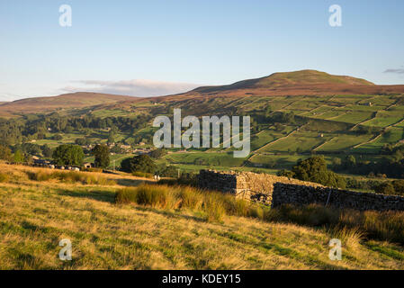 Schönen September Morgen in der Nähe von reeth in swaledale, Yorkshire Dales National Park, England. Stockfoto