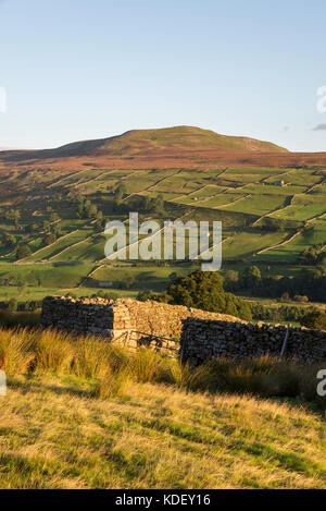 Schönen September Morgen in der Nähe von reeth in swaledale, Yorkshire Dales National Park, England. Stockfoto