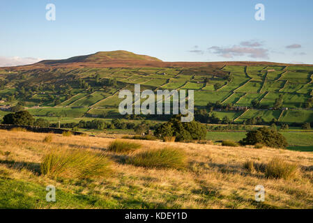 Schönen September Morgen in der Nähe von reeth in swaledale, Yorkshire Dales National Park, England. Stockfoto