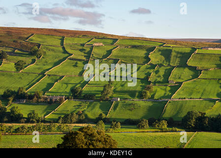 Schönen September Morgen in der Nähe von reeth in swaledale, Yorkshire Dales National Park, England. Stockfoto