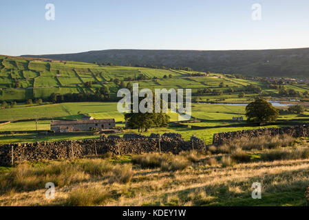 Wunderschöne grüne Landschaft in der Nähe von reeth in swaledale, Yorkshire Dales, England. Einen sonnigen September Morgen. Stockfoto