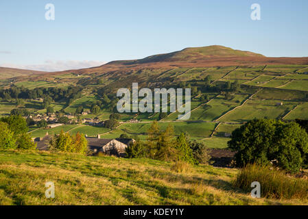 Calver Hill und Healaugh Dorf in der Nähe von reeth in Swaledale, Yorkshire Dales, England. Einen sonnigen September Morgen. Stockfoto