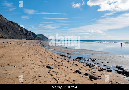 Die fossilen angereicherte Klippen bei Charmouth, Golden Cap in der Ferne. Stockfoto