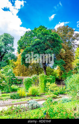 Jardin des plantes in Paris, Frankreich Stockfoto