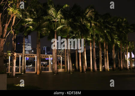 Palmen in der Marina Bay Sands, Singapur Stockfoto