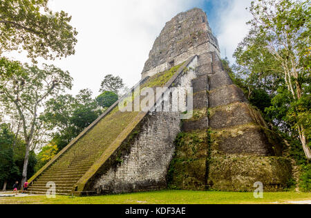 Nationalpark Tikal, Guatemala Stockfoto