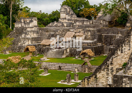 Nationalpark Tikal, Guatemala Stockfoto