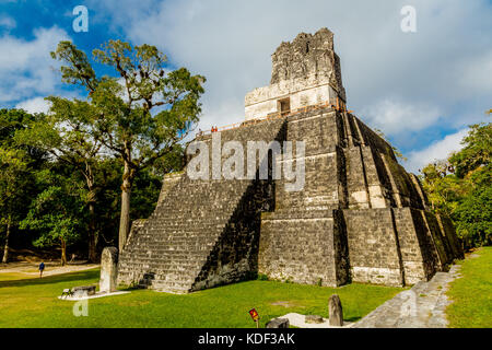 Nationalpark Tikal, Guatemala Stockfoto