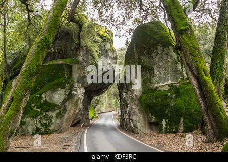 El Capitan, Kalifornien, Amerika Stockfoto