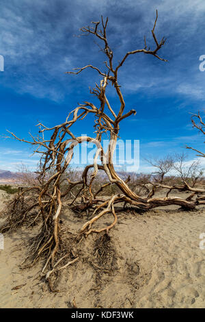 Atemberaubende Death Valley Stockfoto