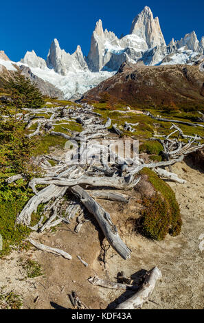 Jeder Wanderer Traum - Mt Fitz Roy Stockfoto