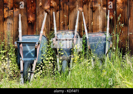 Theler Feuchtgebiete Stockfoto