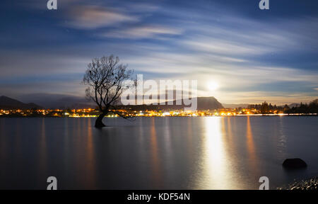 Lake Wanaka, Otago, Südinsel, Neuseeland mit der Weide 'einsam' Baum. Seine die berühmten Seen von South Island. Stockfoto