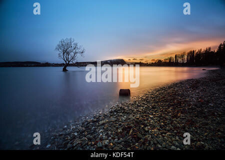 Lake Wanaka, Otago, Südinsel, Neuseeland mit der Weide 'einsam' Baum. Seine die berühmten Seen von South Island. Stockfoto