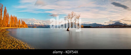 Lake Wanaka, Otago, Südinsel, Neuseeland mit der Weide 'einsam' Baum. Seine die berühmten Seen von South Island. Stockfoto