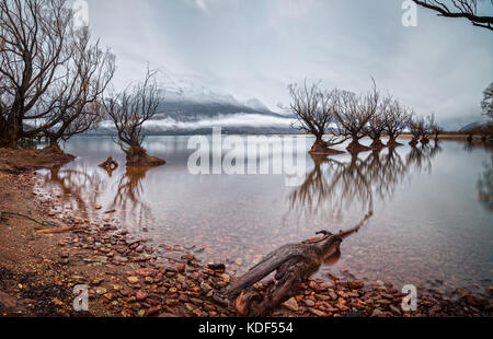 Das Willow tress von Glenorchy über den Lake Wakatipu, Queenstown, Otago, Neuseeland Stockfoto