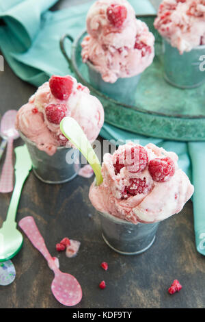 Hausgemachte himbeer Eis in kleinen Zinnkapseln Stockfoto