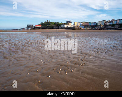 Tenby Hafen & North beach Tenby Pembrokeshire Wales Stockfoto