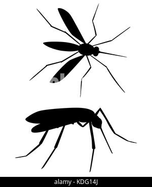 Eingestellt von moskito Silhouetten auf weißem Hintergrund. Vektor Moskito Silhouetten. aegypti Mücken fliegen. zika eine Übertragung des Virus. Vektor aegypt Stock Vektor