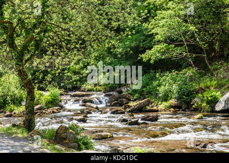 Der Fluss Lyn (Ost) auf dem Weg zur Watersmeet in der Nähe von Lynmouth, North Devon, England, UK Stockfoto