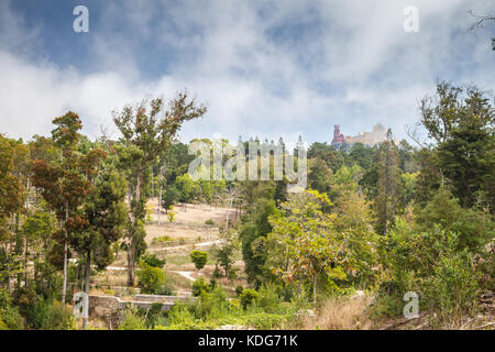 Sommer Landschaft mit Pena Palast auf der Oberseite der Berge von Sintra. Gemeinde von Sintra, Portugal Stockfoto