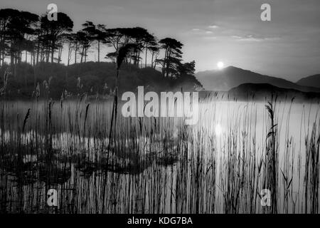 Sonnenaufgang am derryclare Loch/See mit einigen der 12 ben Berge und edge Schilf. County Galway, Connemara, Irland Stockfoto