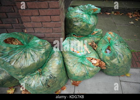 Herbst Blätter grün Rat Beutel für wast Sammlung gesammelt. Stockfoto