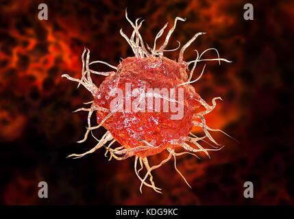 Dendritische Zelle, computer Abbildung. Eine dendritische Zelle ist ein Typ von weißen Blutkörperchen. Es handelt sich um ein Antigen-präsentierenden Zellen (APC), die Antigene zu T-Lymphozyten, die nur Antigene erkennen, wenn Sie von APC präsentiert werden präsentiert. Stockfoto