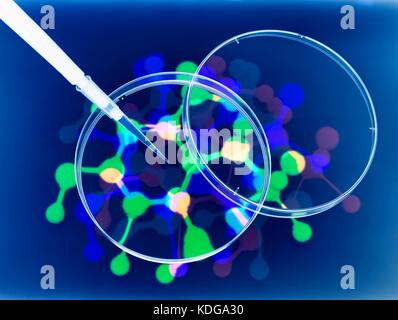 Fotogramm Wirkung über mehrere Aufnahmen eines molekularen Modell, Pipettieren und Petrischalen der reinen Forschung zu veranschaulichen. Stockfoto