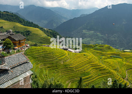 Longji Terraced Rice Fields, longsheng, Guangxi, China Stockfoto