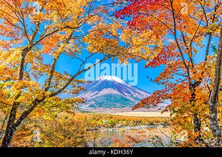Mt. Fuji, Japan von Yamanaka Lake im Herbst. Stockfoto