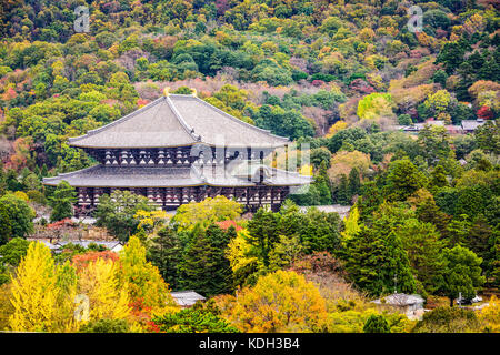 Todaiji Tempel im Herbst in Nara, Japan. Stockfoto