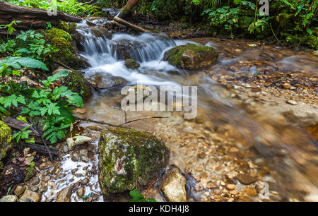 Mountain Creek über Felsen/River fließt durch den Wald läuft Stockfoto