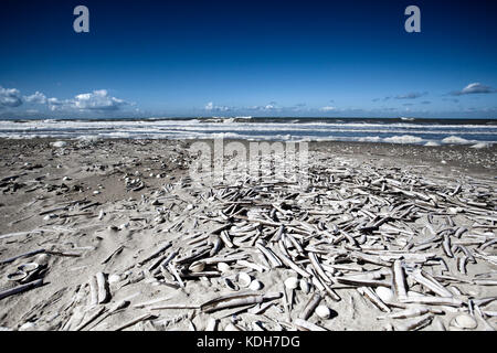 Blick auf leeren Strand in der Normandie Frankreich nach dem Ende der Saison im Herbst Stockfoto