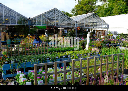 Morden Halle Garten Center Stockfoto