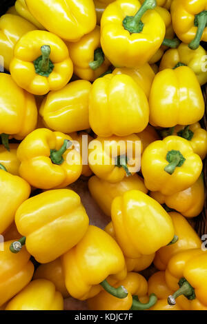 Blick auf die Regale mit frischem Gemüse im Supermarkt Stockfoto