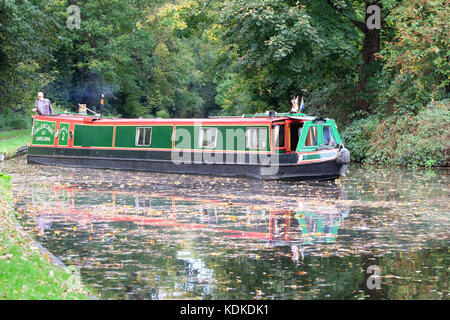 Stourton Junction, Stewponey, Stourton, West Midlands, UK. 14. Oktober, 2017. Herbst Wetter als Kanal Boot geht unter den Herbst Laub auf der Staffordshire und Worcester Canal an Stewponey in der Nähe von Stourton in den West Midlands. Stockfoto