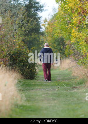 Sheerness, Kent, Großbritannien. 14 Okt, 2017. UK Wetter: ein sonniger und warmer Tag in Sheerness. Credit: James Bell/Alamy leben Nachrichten Stockfoto