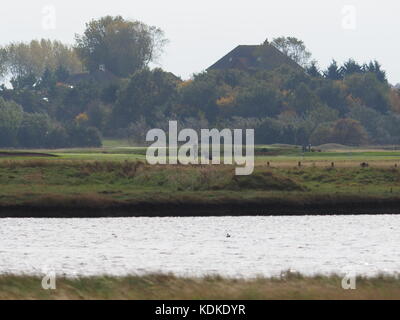 Sheerness, Kent, Großbritannien. 14 Okt, 2017. UK Wetter: ein sonniger und warmer Tag in Sheerness. Credit: James Bell/Alamy leben Nachrichten Stockfoto