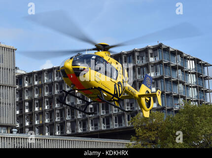 Berlin, Deutschland. Oktober 2017. Der Hubschrauber 'Christoph 31' landete am 13. Oktober 2017 auf dem Charité-Campus Benjamin Franklin in Berlin. Der Rettungshubschrauber von ADAC Air Rescue ist derzeit der Hubschrauber, der die meisten Missionen in Europa fliegt und kürzlich seinen 70.000. Platz absolvierte. Quelle: Britta Pedersen/dpa-Zentralbild/ZB/dpa/Alamy Live News Stockfoto