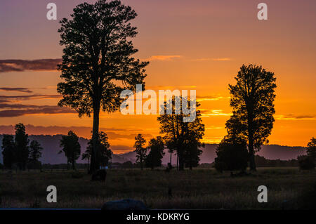 Fox Glacier, West Coast • Neuseeland Stockfoto