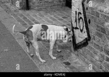 Street Fotografie um Camden Town und Bethnal Green. Stockfoto