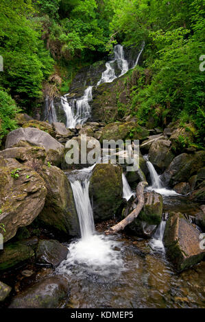 Torc Wasserfall, Nationalpark Killarney, County Kerry, Irland Stockfoto