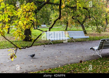 Prager Herbst in den Vojany-Gärten, ein ruhiger Garten im Herzen der Mala Strana, Prag, Tschechische Republik Stockfoto