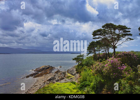 Kenmare River, County Kerry, Irland - John Gollop Stockfoto