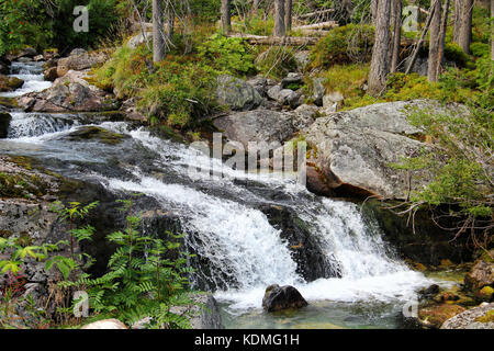 Wasserfälle von studeny potok in der Hohen Tatra in der Nähe von Stary Smokovec, Slowakei Stockfoto